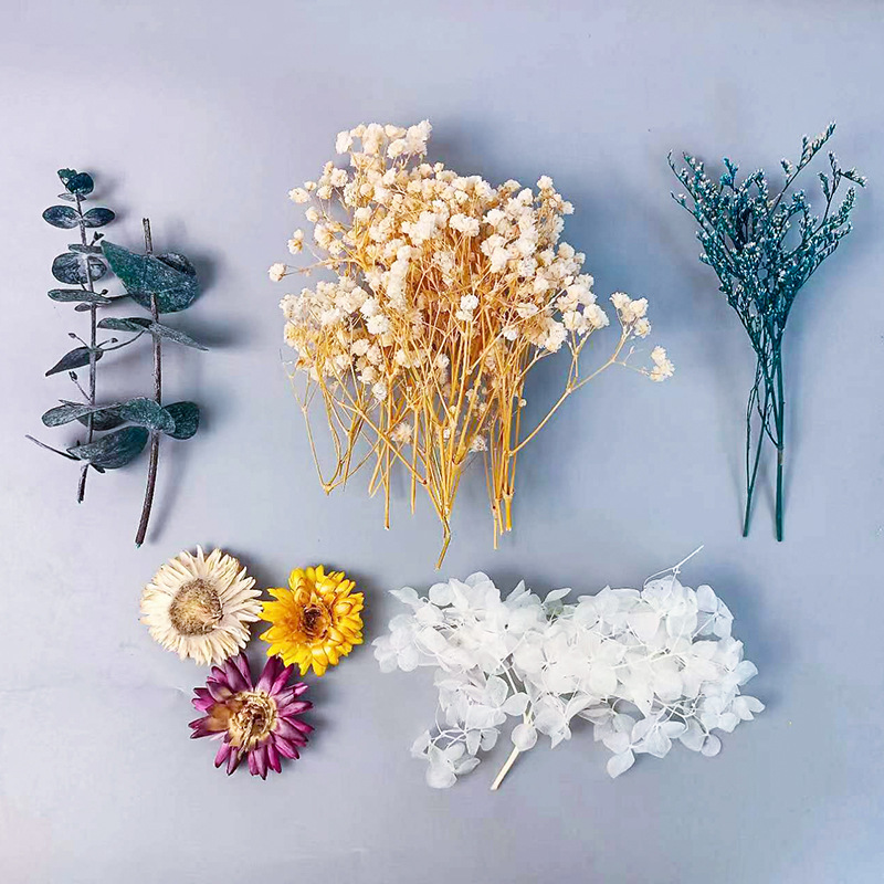 1 حزمة متعددة متنوعة الزهور ال - مراجعة Embellish Craft وسعره